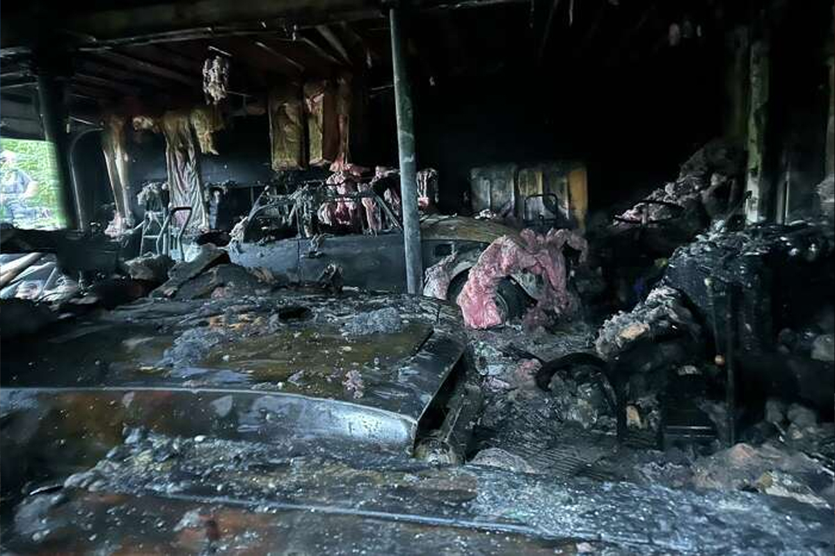 inmigracion, plan migratorio, visa, frontera, eeuu, Red Latina